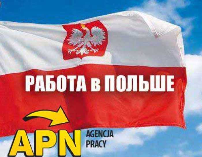 Легальная работа в Польше